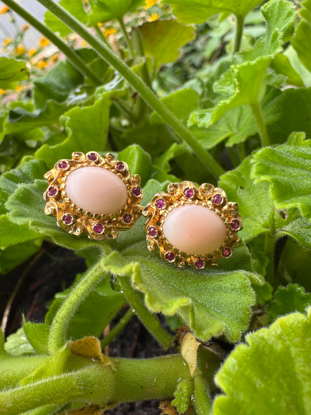 Ruby & Cabochon Coral Earrings 18ky