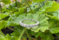 Diamond Band 9 Diamonds 14kwg VS2-SI G/H