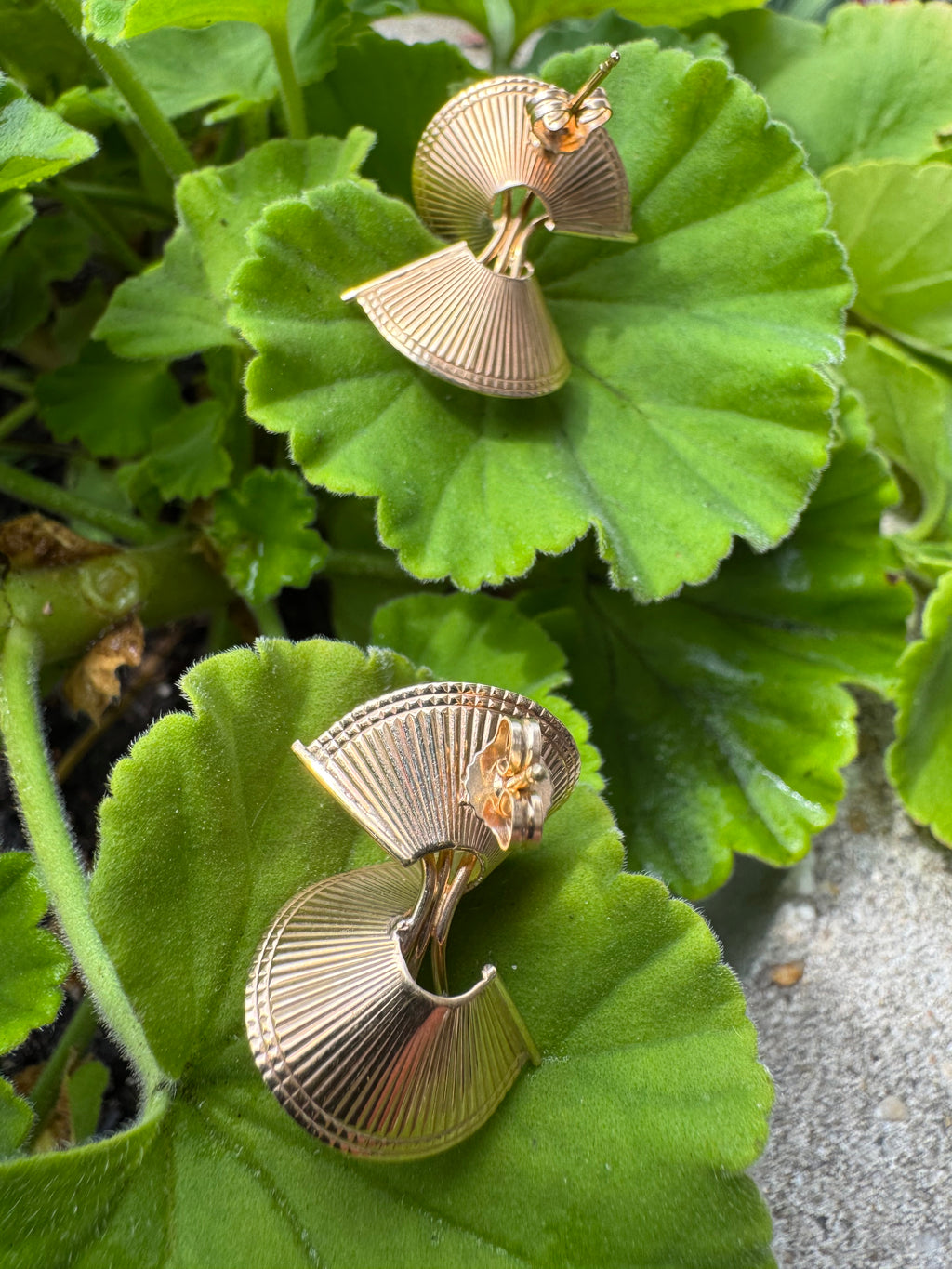 Swirled Fan Pearl Earrings Mid Century 14kyg