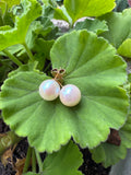 Akoya Pearl Studs 14kyg 8.5mm